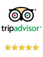 5 stars on trip advisor